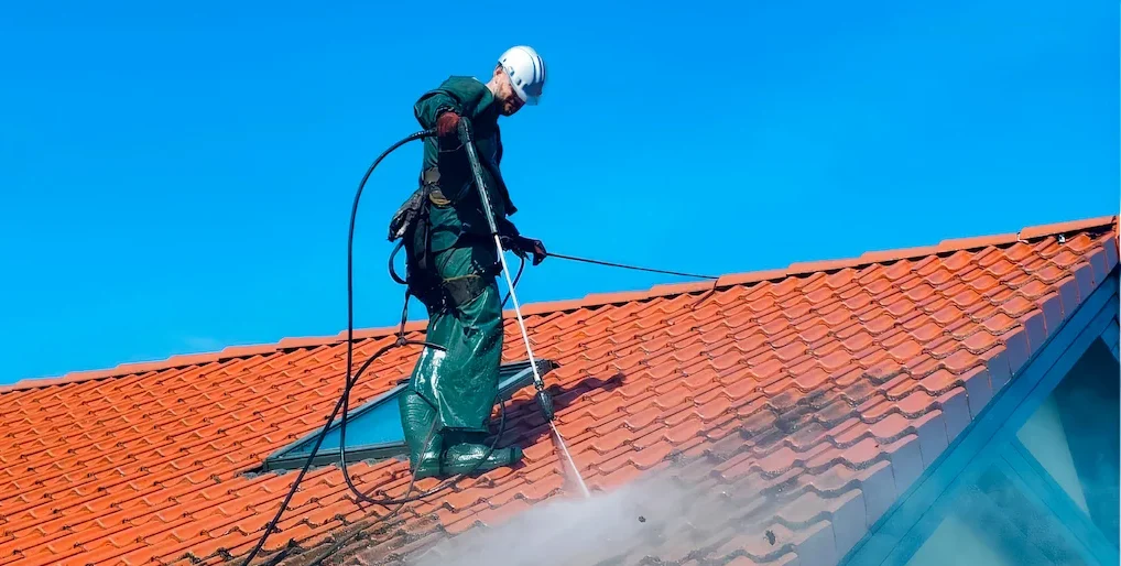 Mycie i odgrzybianie dachu — zdjęcie przed i po, AZ Clean Szczecin