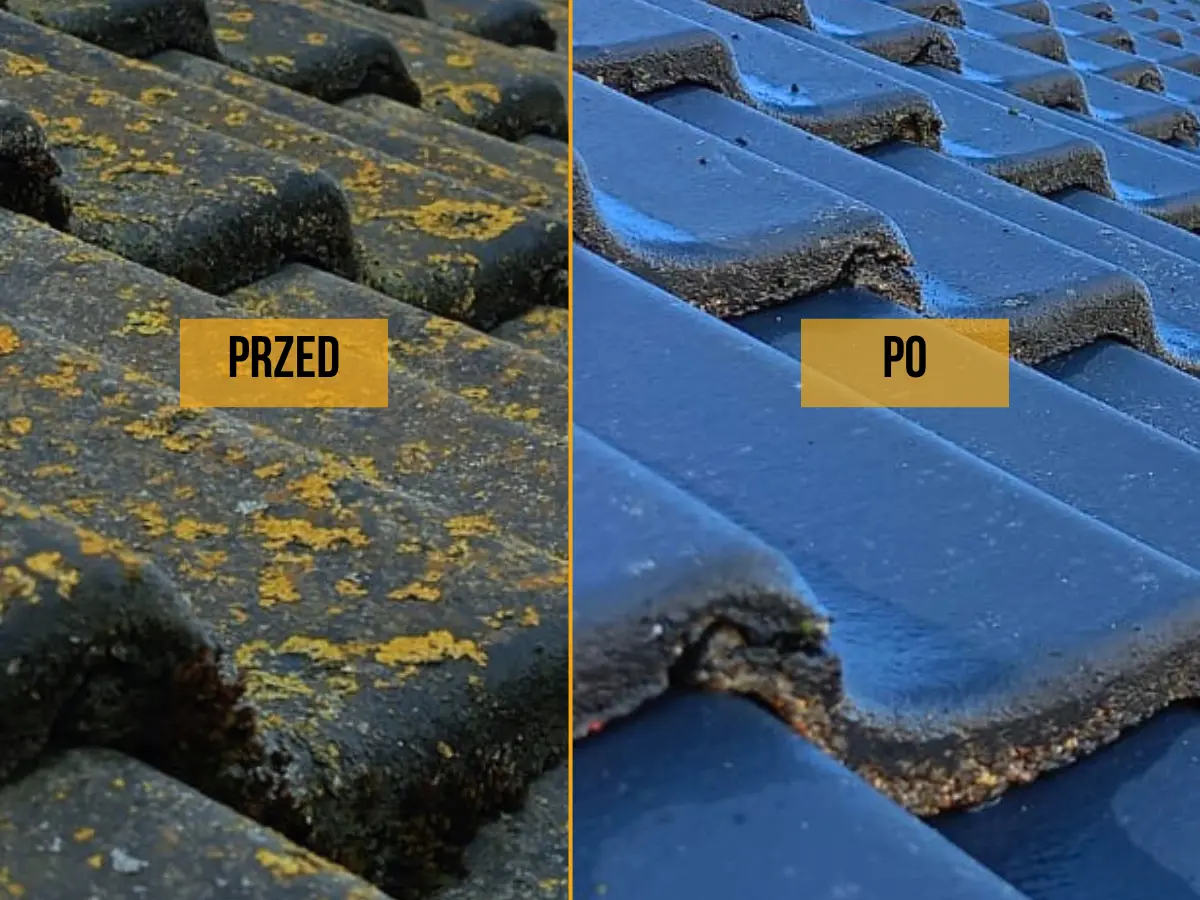 Konserwacja dachu – czyszczenie dachówki i usuwanie mchu, Szczecin AZ Clean