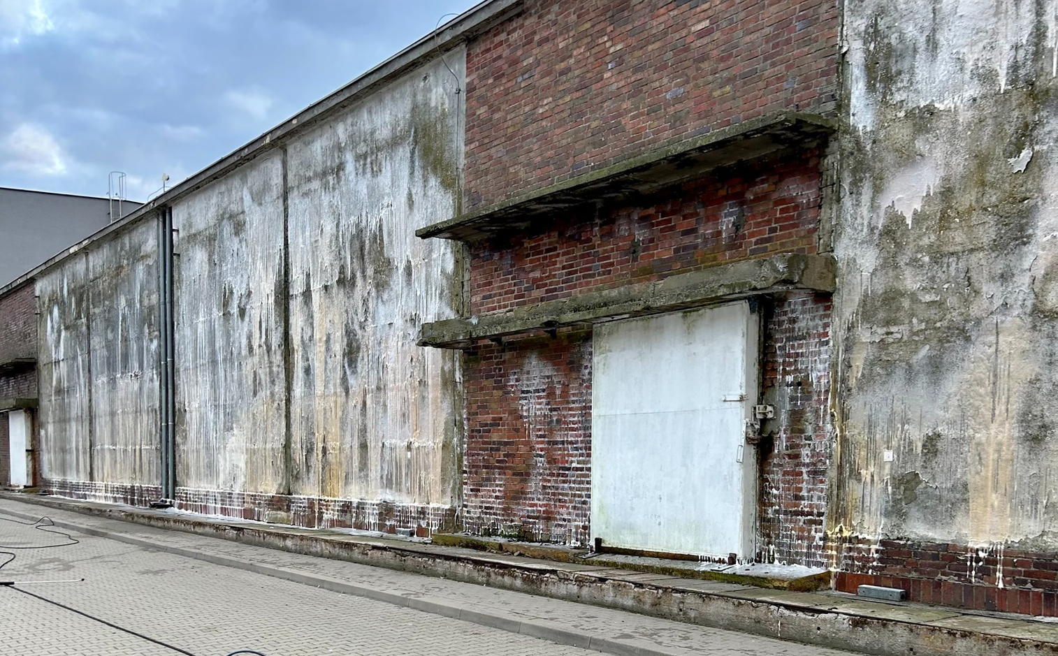 Zniszczona ściana budynku z pleśnią.